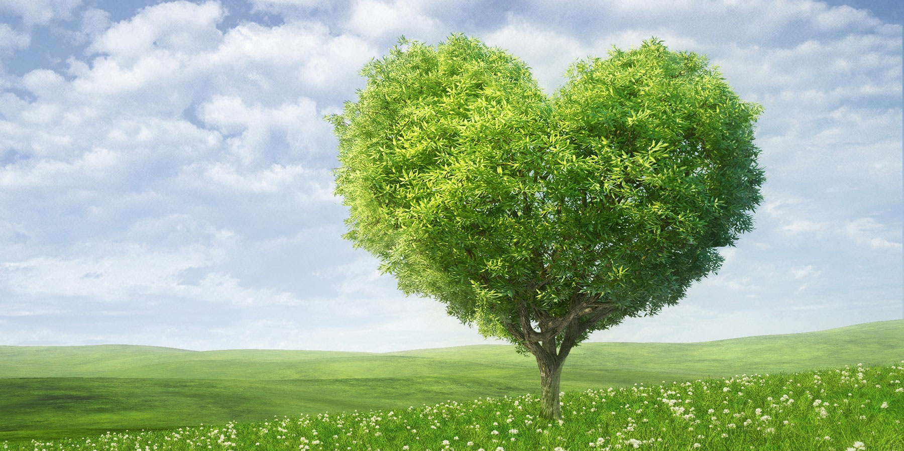 Manifesto PdD: Por mais árvores, sorrisos e amor! 